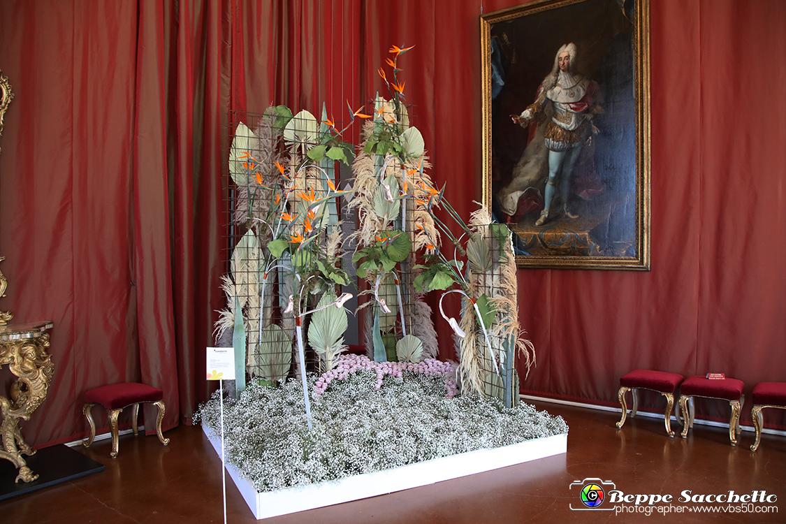 VBS_0133 - Corollaria Flower Exhibition 2022.jpg